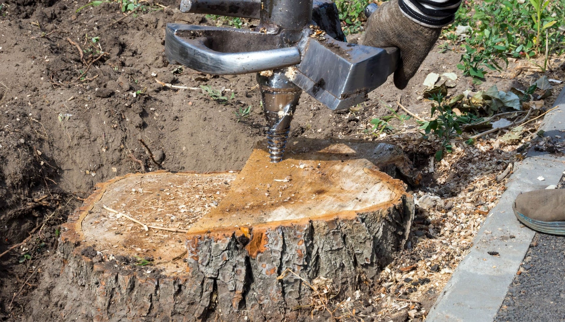 Little Rock Tree stump removal